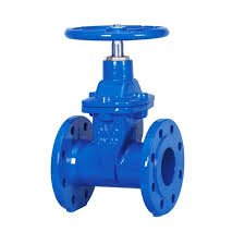 Gate Valve